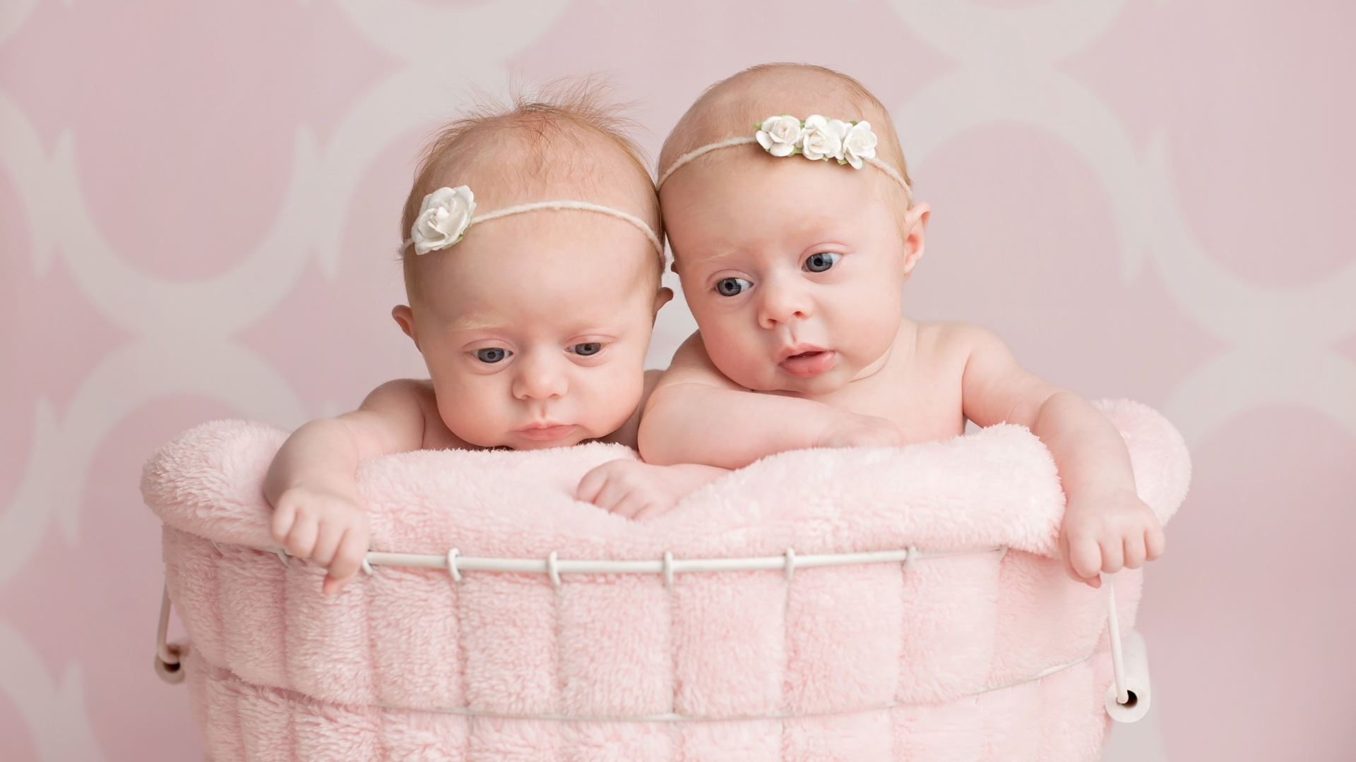 Два младенца близнеца девочки в корзине