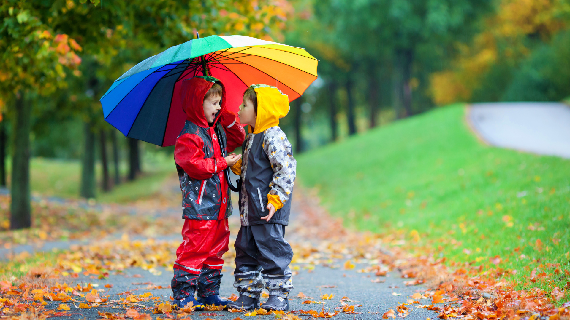 Два мальчика под разноцветным зонтом осенью