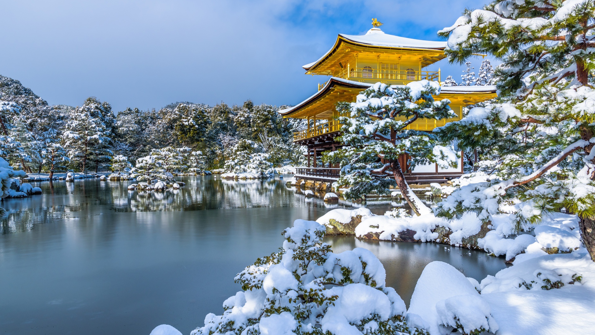 Покрытые снегом деревья и заледеневший пруд у храма Кинкаку-дзи зимой, Япония