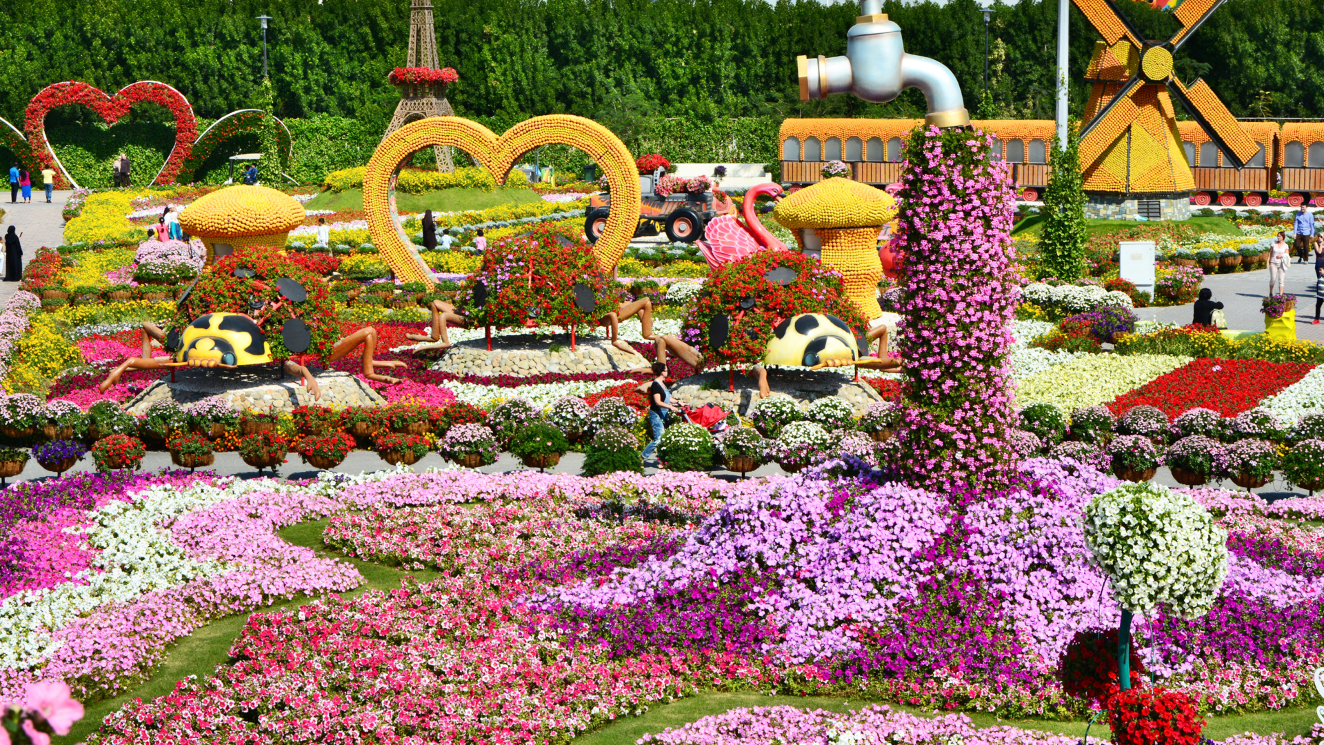 Цветущие петунии в саду чудес, Дубае. ОАЭ