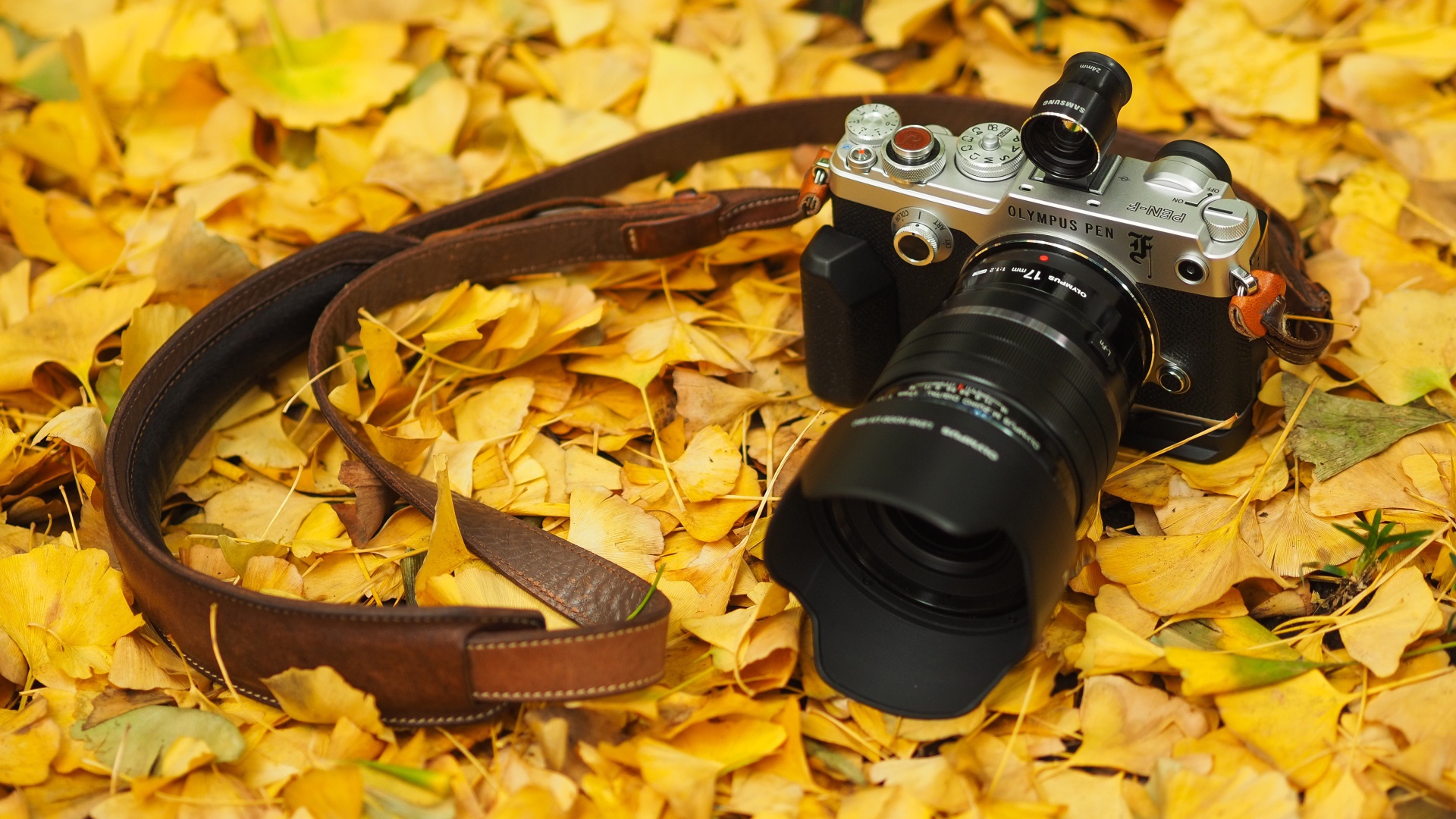 Фотоаппарат Olympus Pen-F лежит на желтой осенней листве