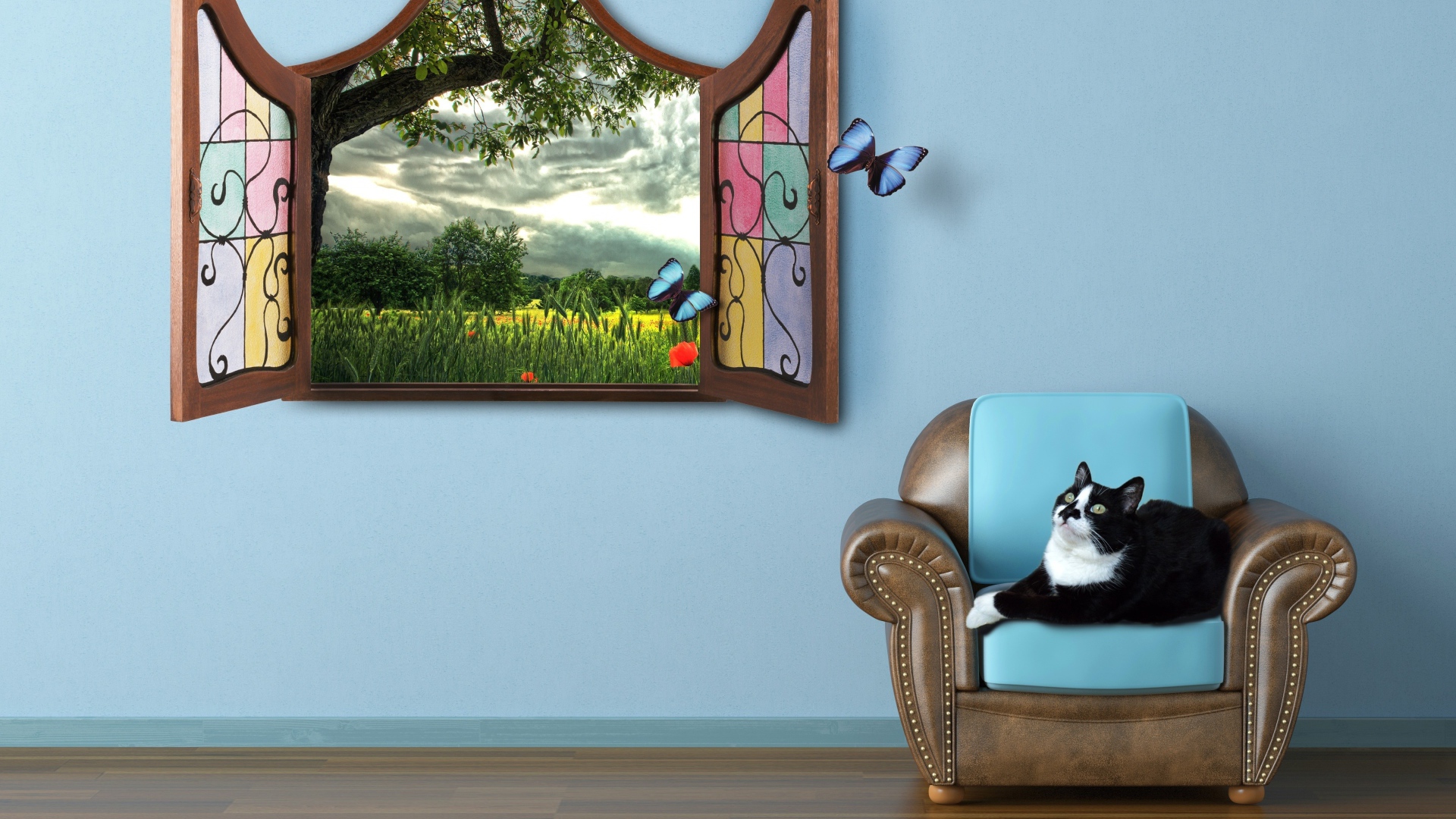 Черно белый кот лежит на кресле у окна