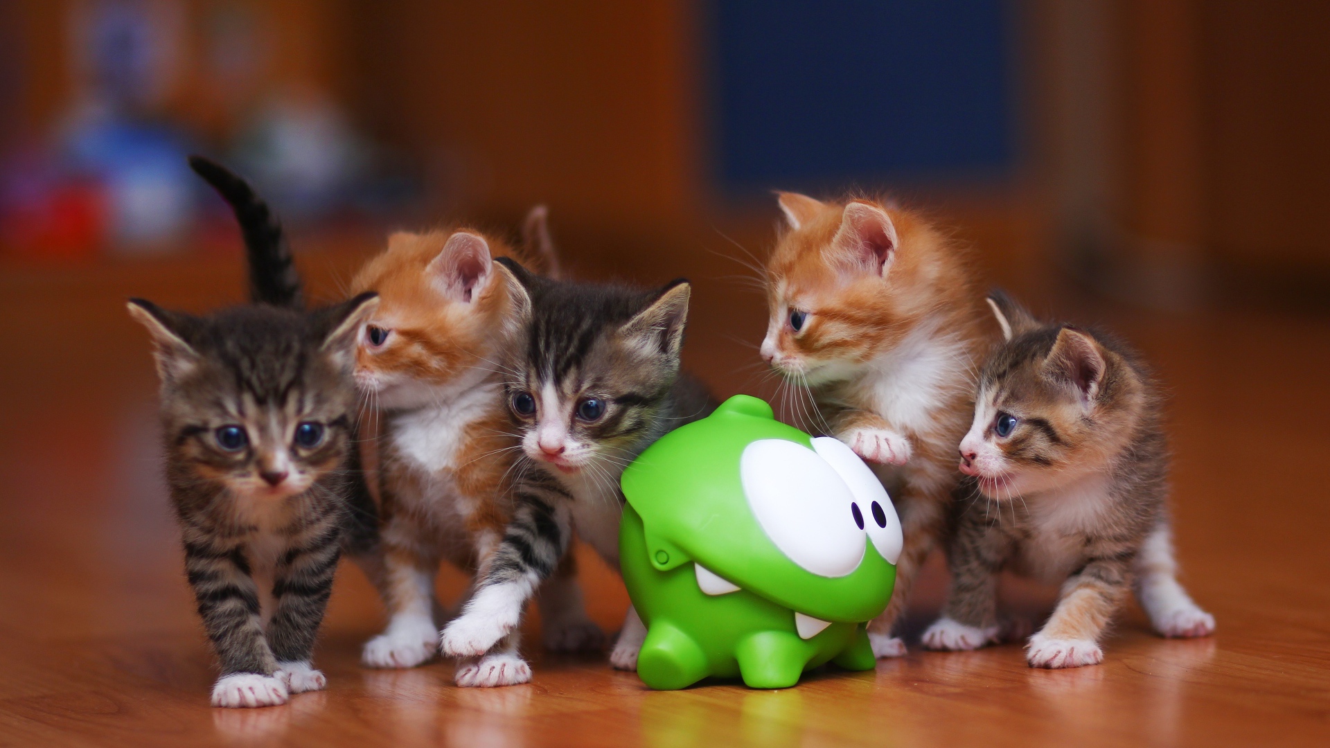 Маленькие смешные котята с зеленой игрушкой