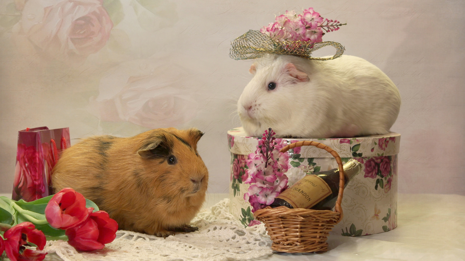 Две морские свинки с цветами