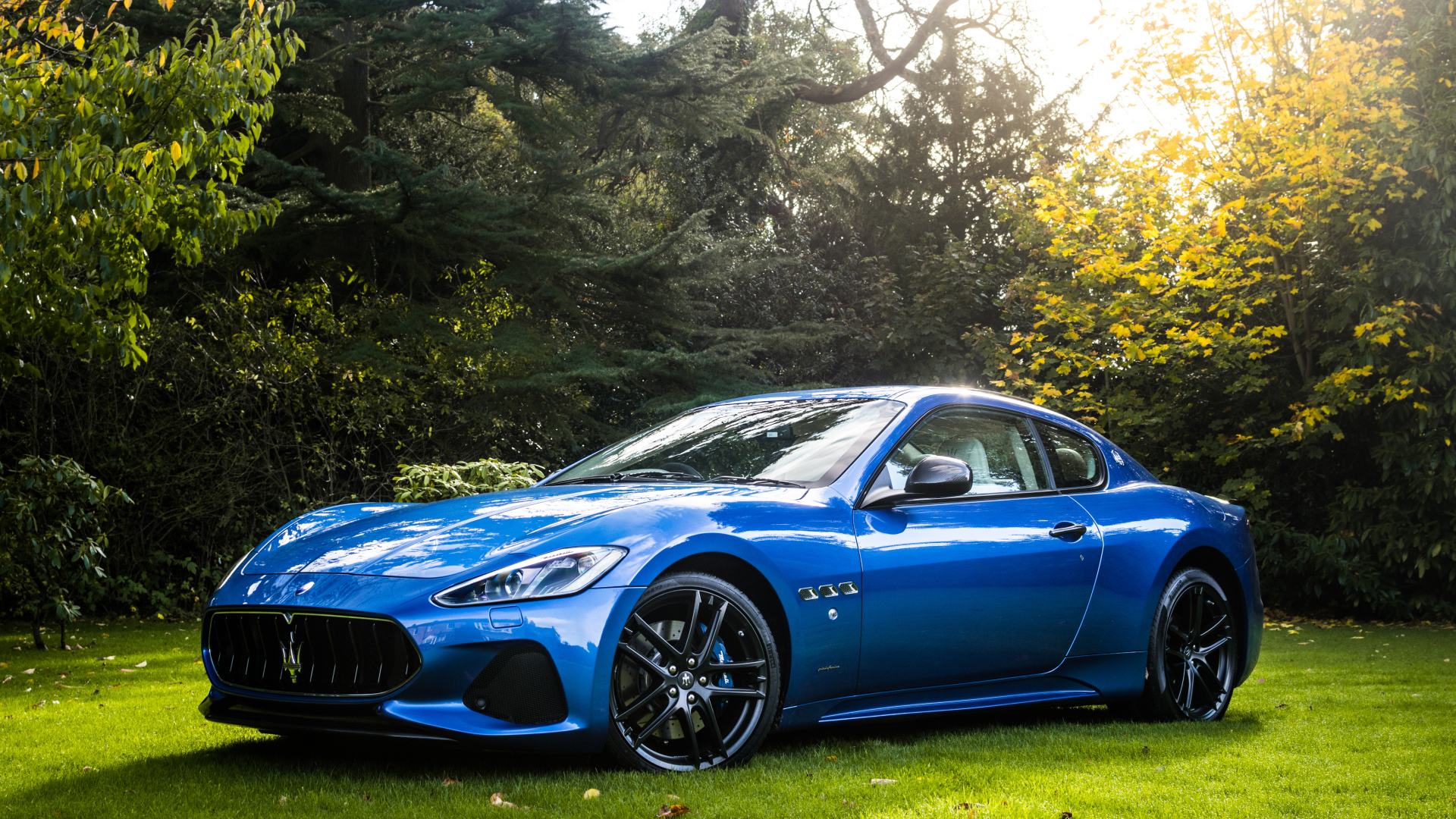 Синий автомобиль Maserati GranTurismo на фоне деревьев 