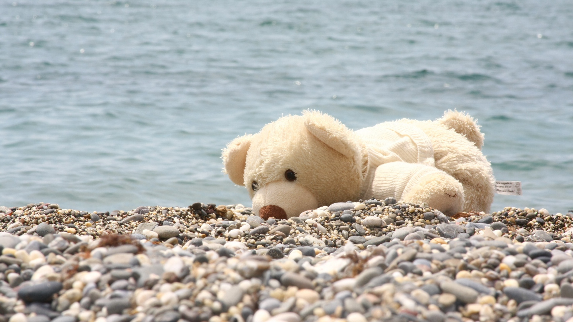 Белый плюшевый медведь лежит на гальке на берегу моря