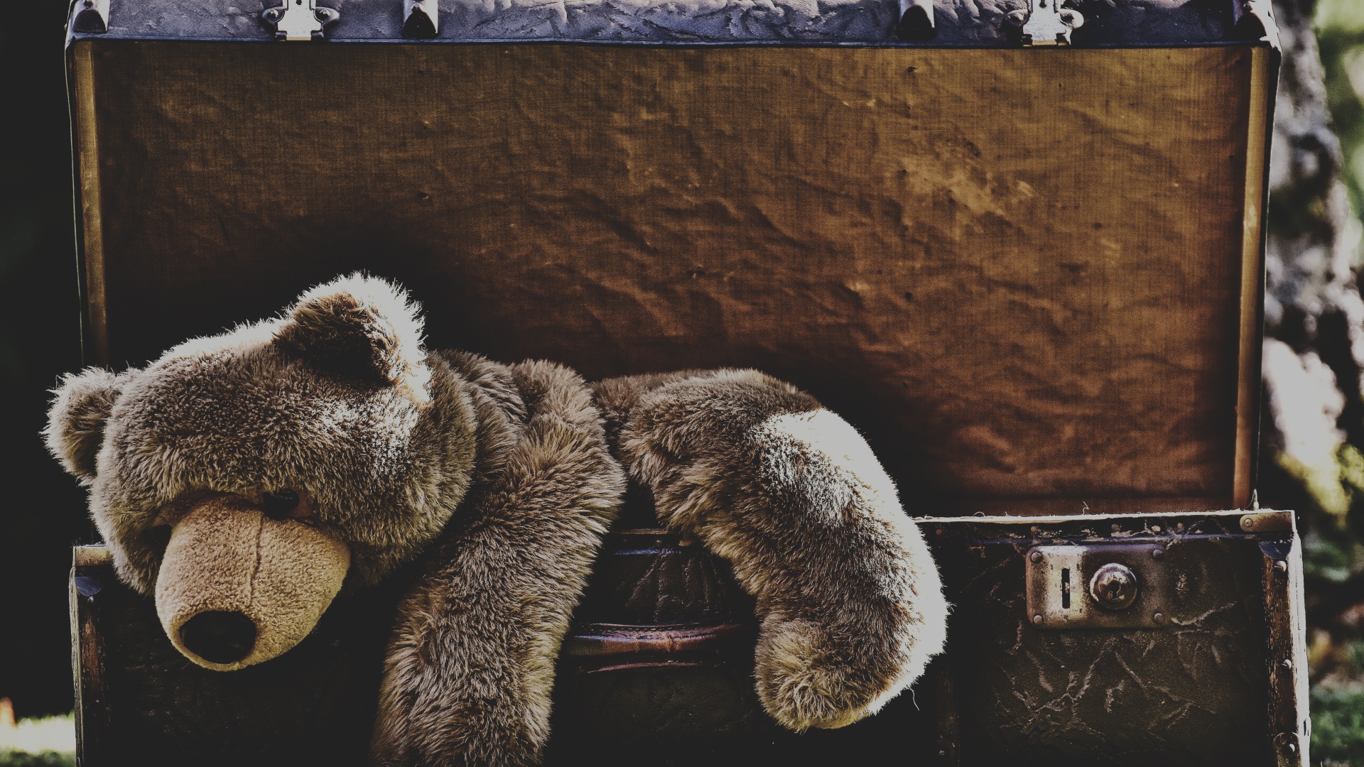 Большой плюшевый медведь в старом чемодане