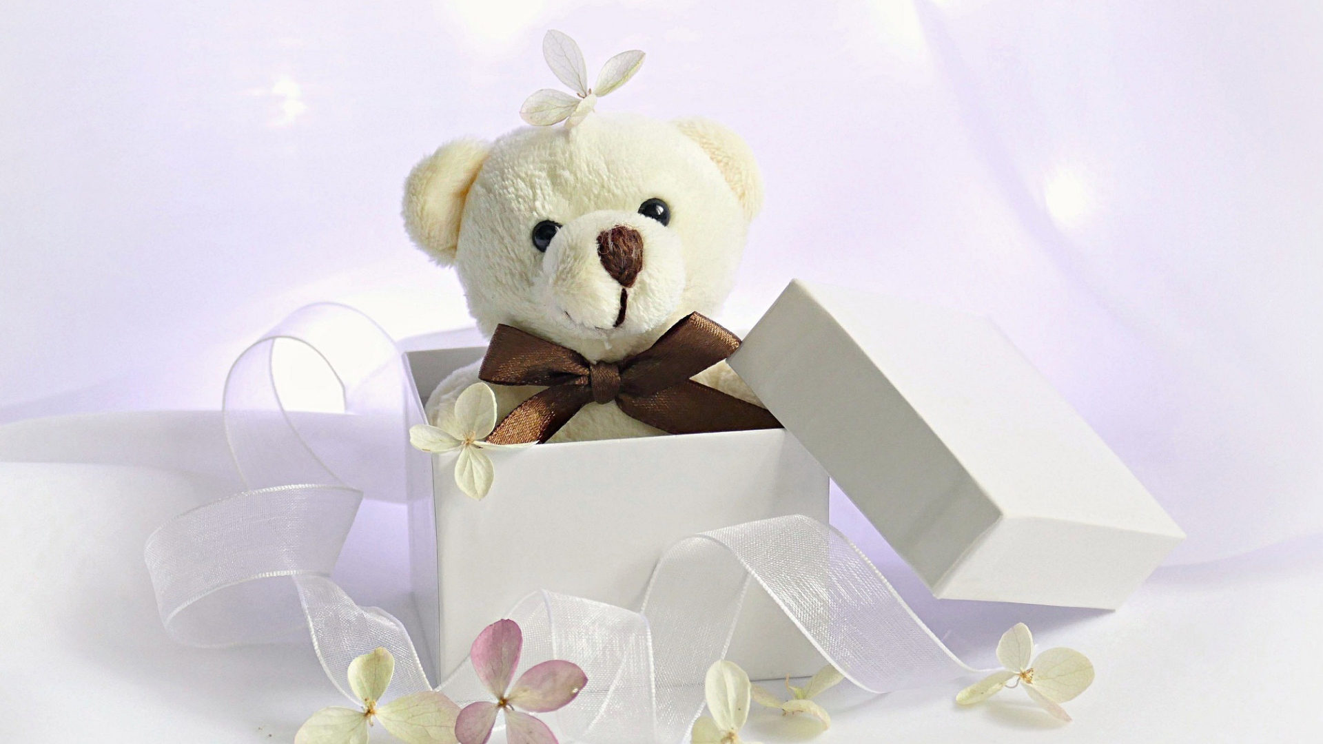 Белый плюшевый медведь в подарочной коробке