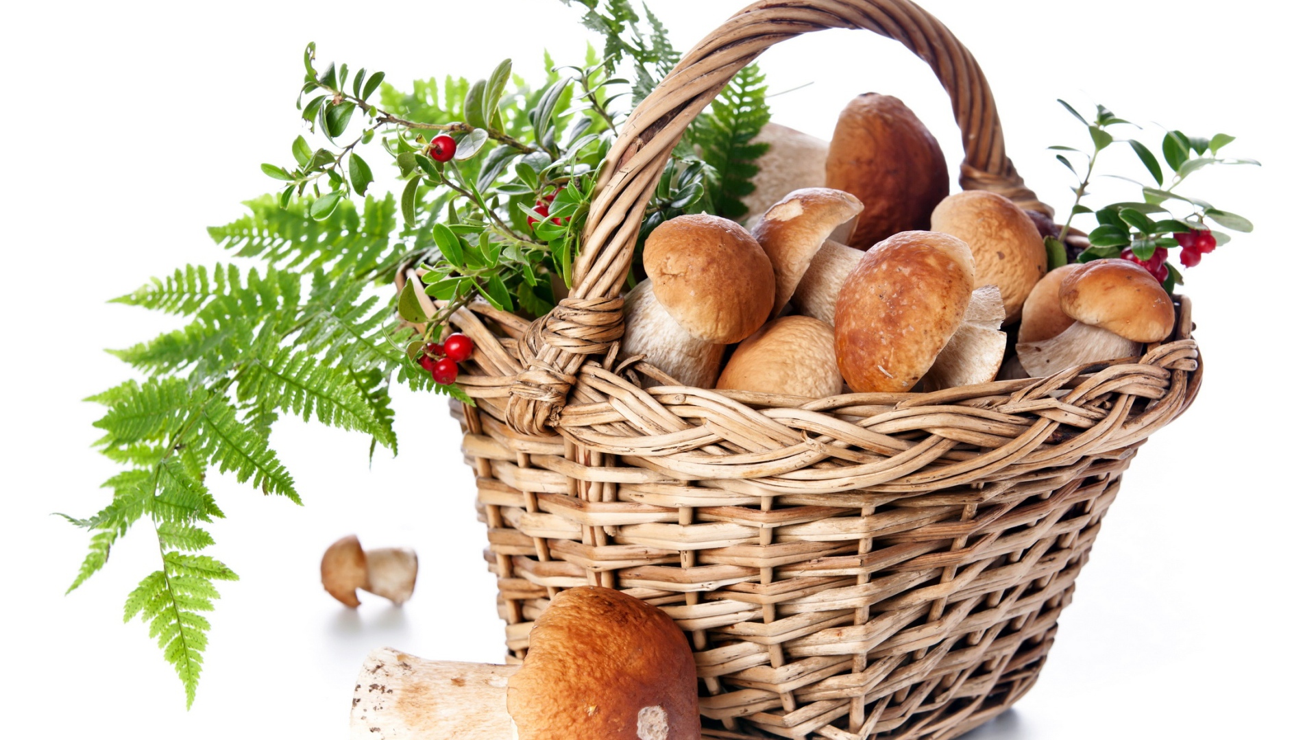 Большая корзина грибов с ягодами на белом фоне