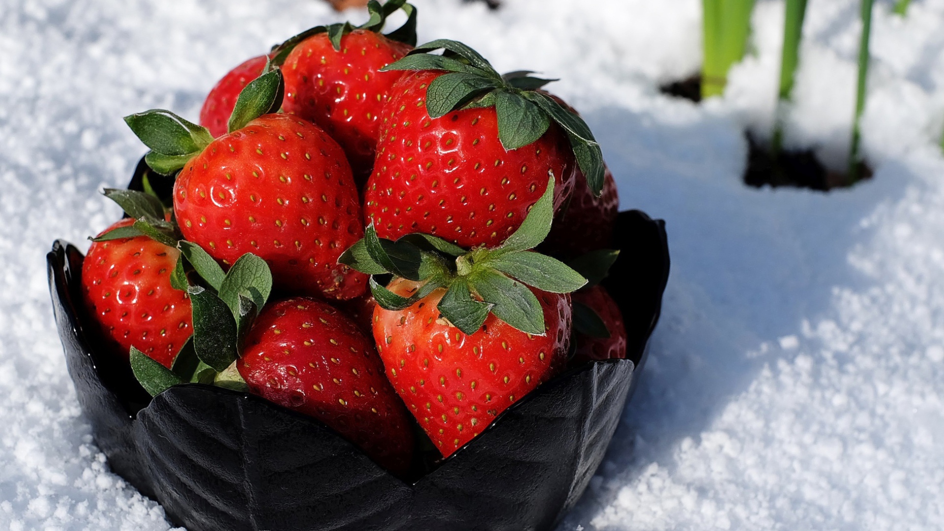 Тарелка со спелой красной клубникой стоит на белом снегу