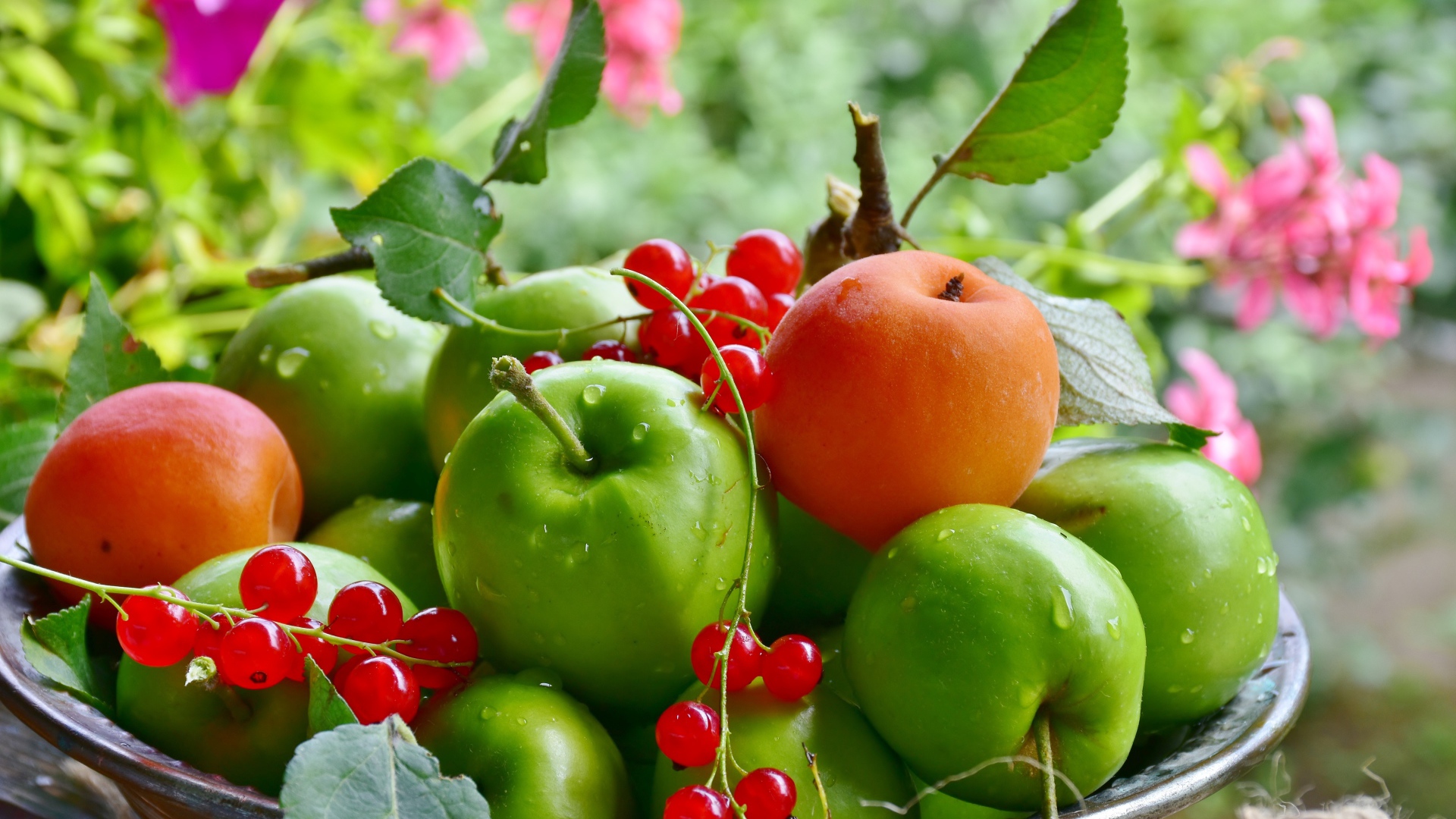 Красивые зеленые яблоки с красной смородиной и абрикосами