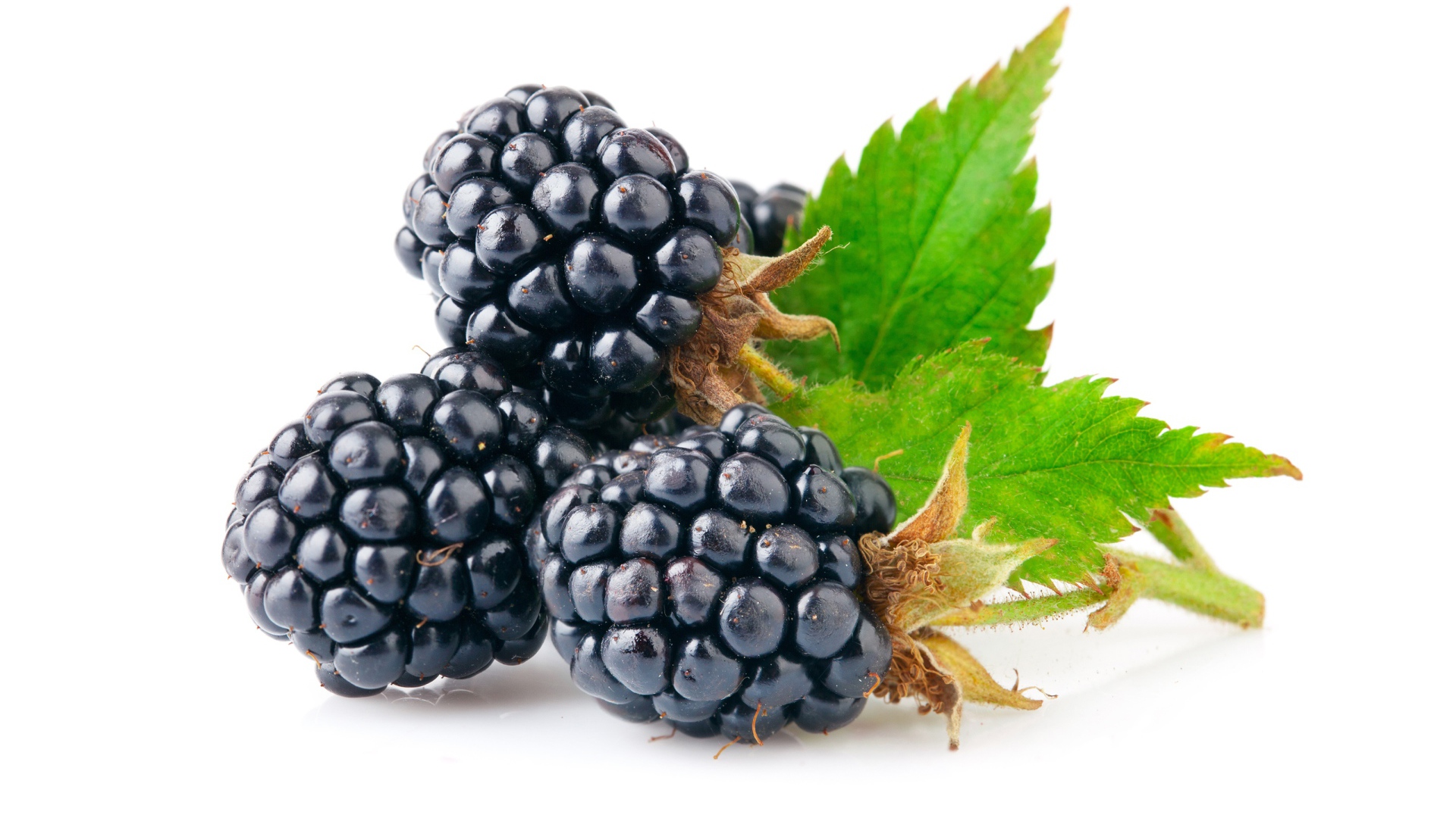 Спелые сочные ягоды ежевики на белом фоне