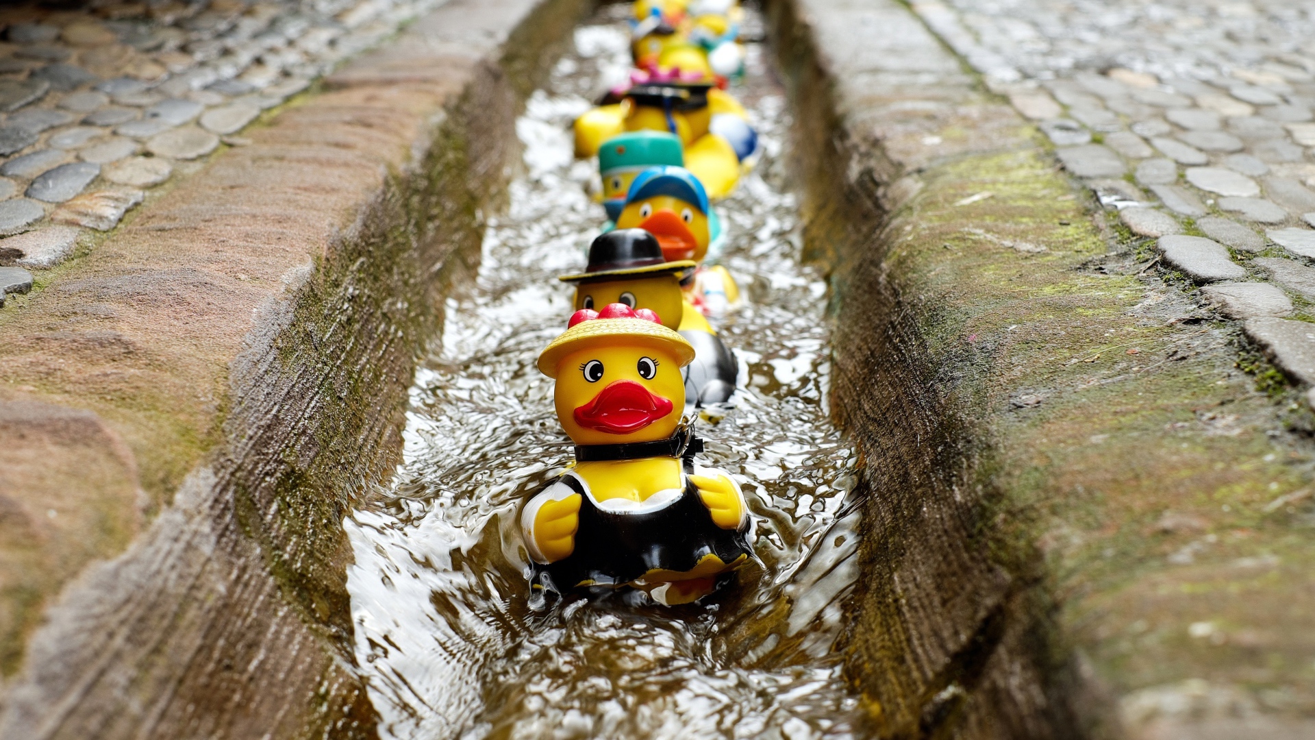 Игрушки утята в водосточной канаве