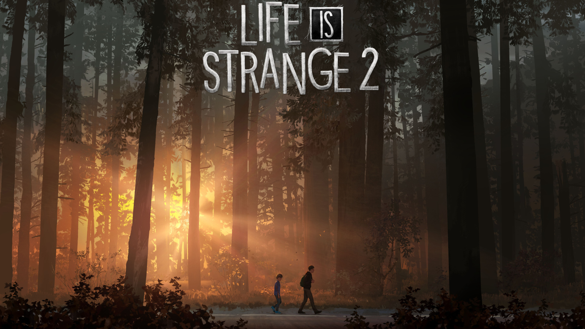 Постер компьютерной игры Life Is Strange 2, 2018