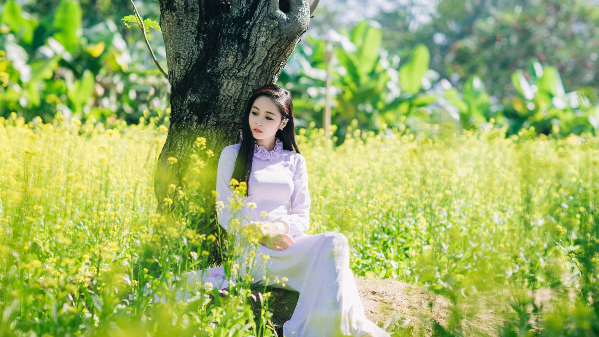 Красивая девушка азиатка сидит в белом платье под деревом