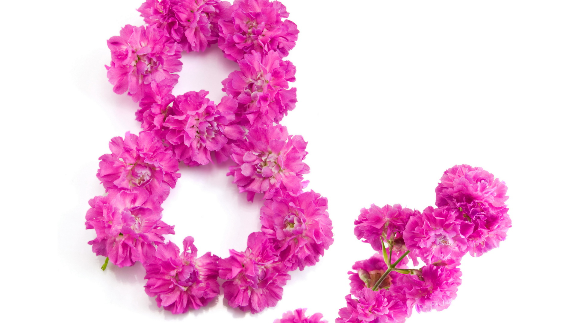 Восьмерка из розовых цветов гвоздики на Международный женский день 8 марта