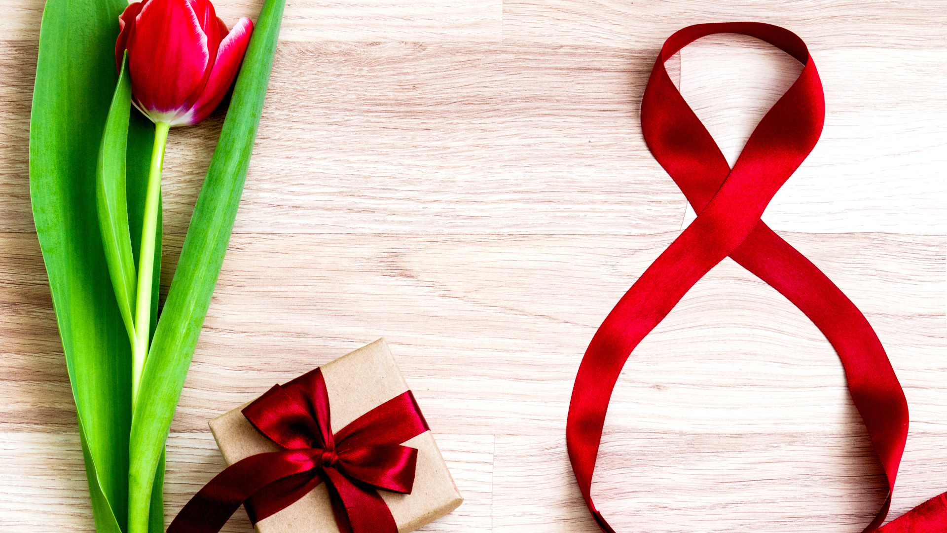 Тюльпан и подарок с лентой на Международный женский день 8 марта