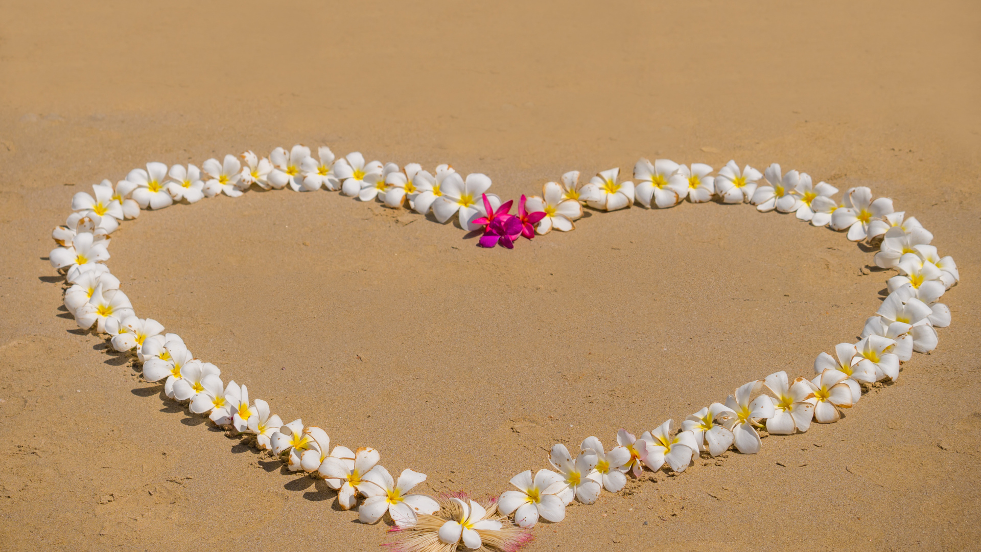 Сердце из цветов плюмерии на песке