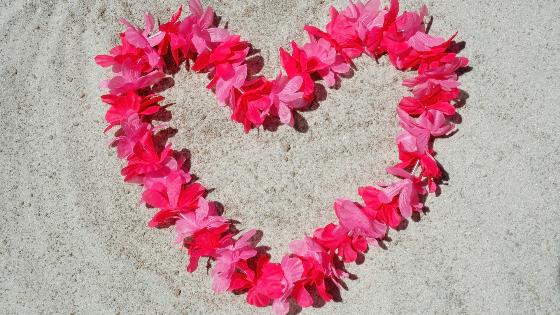 Сердце из розовых цветов на песке