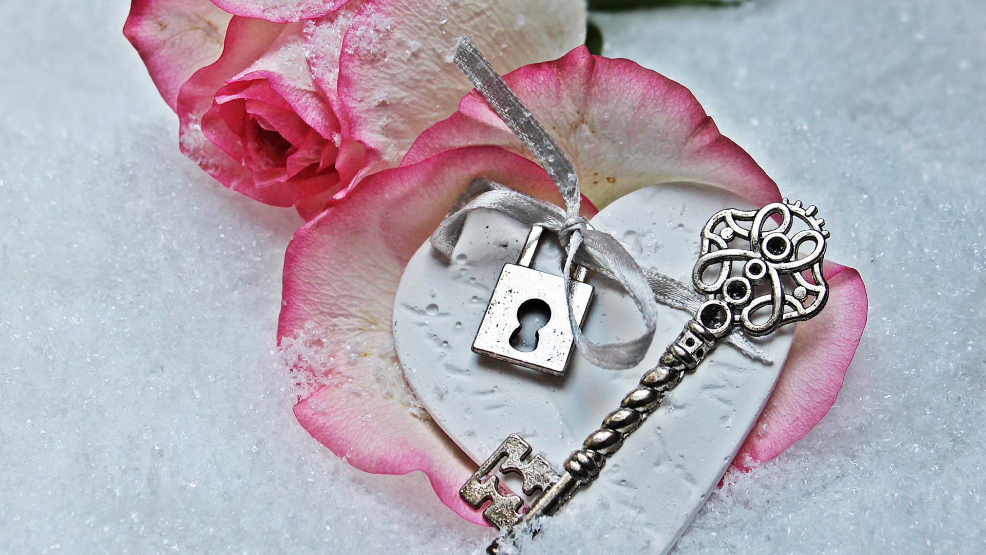 Розовая роза лежит на снегу с ключом