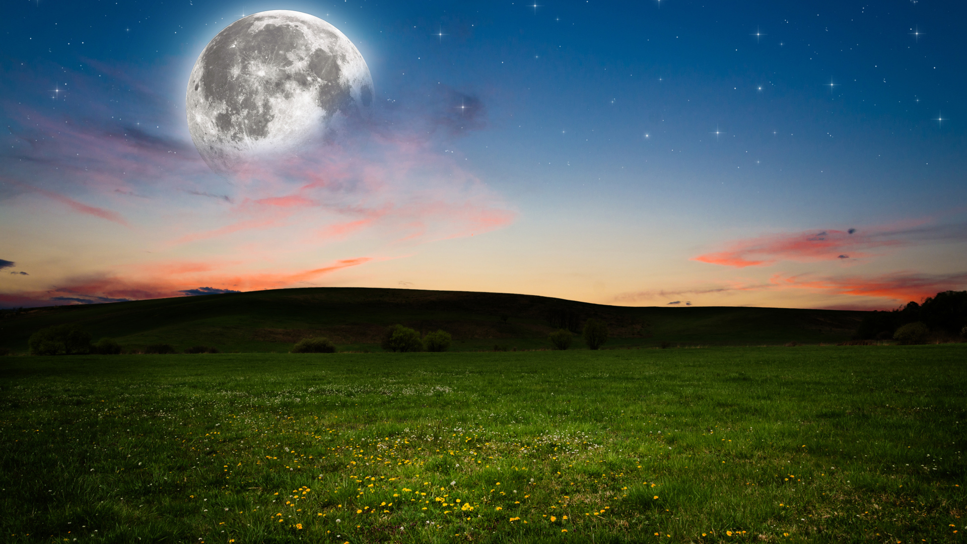 Большая луна в небе над зеленым лугом