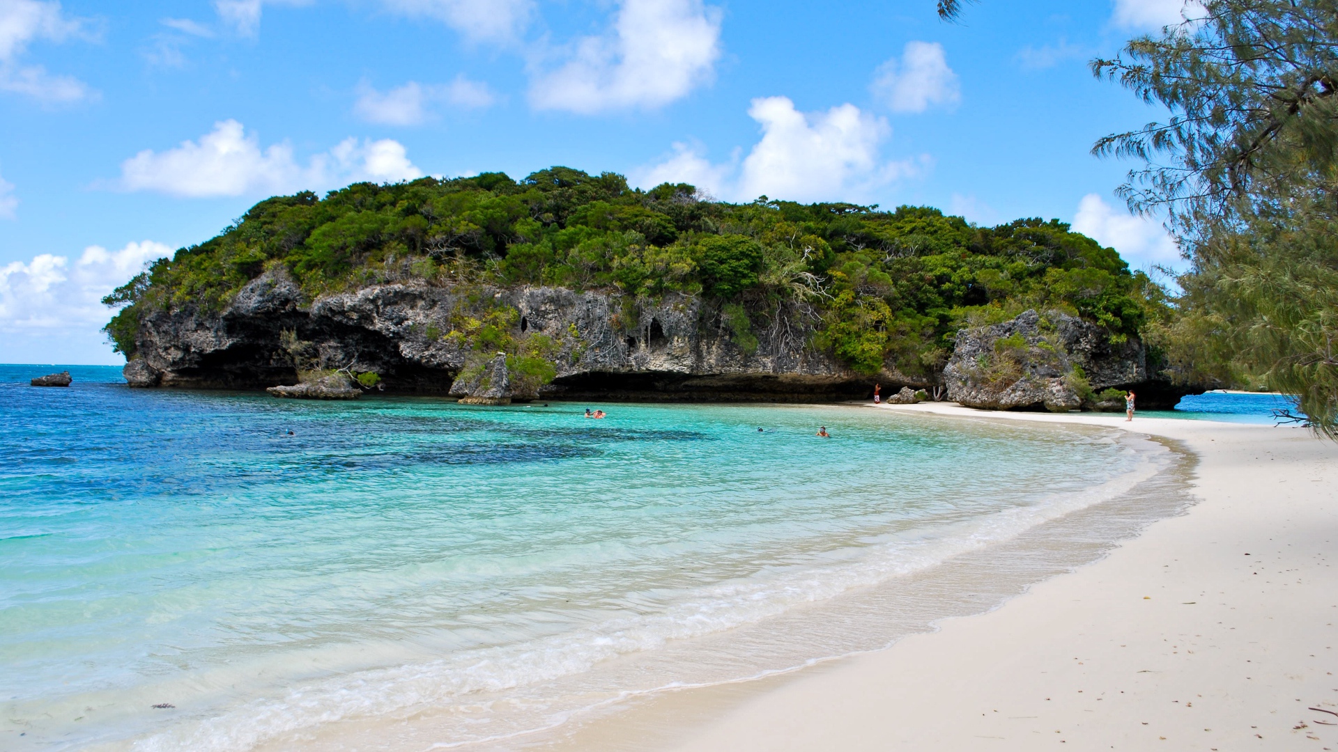 Покрытая зеленью сказала около пляжа на морском берегу 
