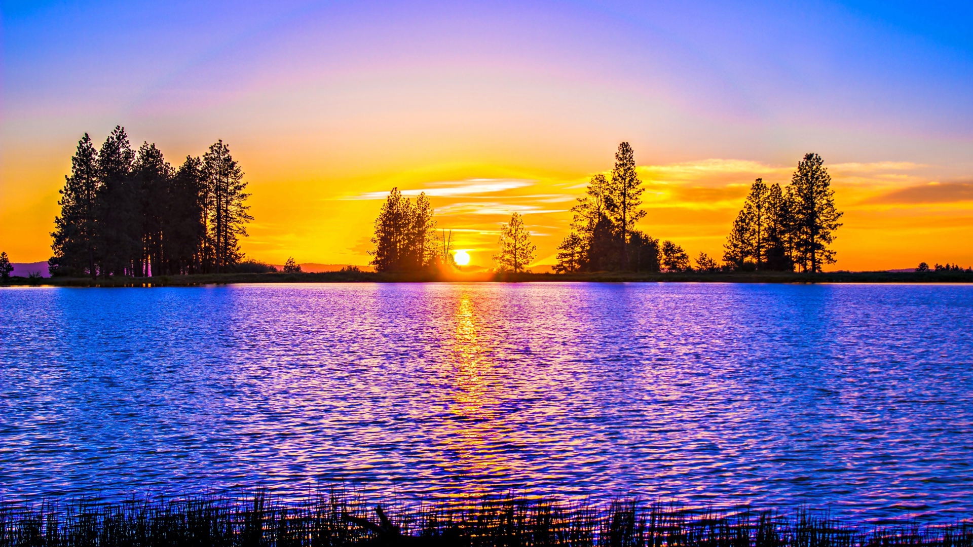 Рассвет яркого солнца над рекой