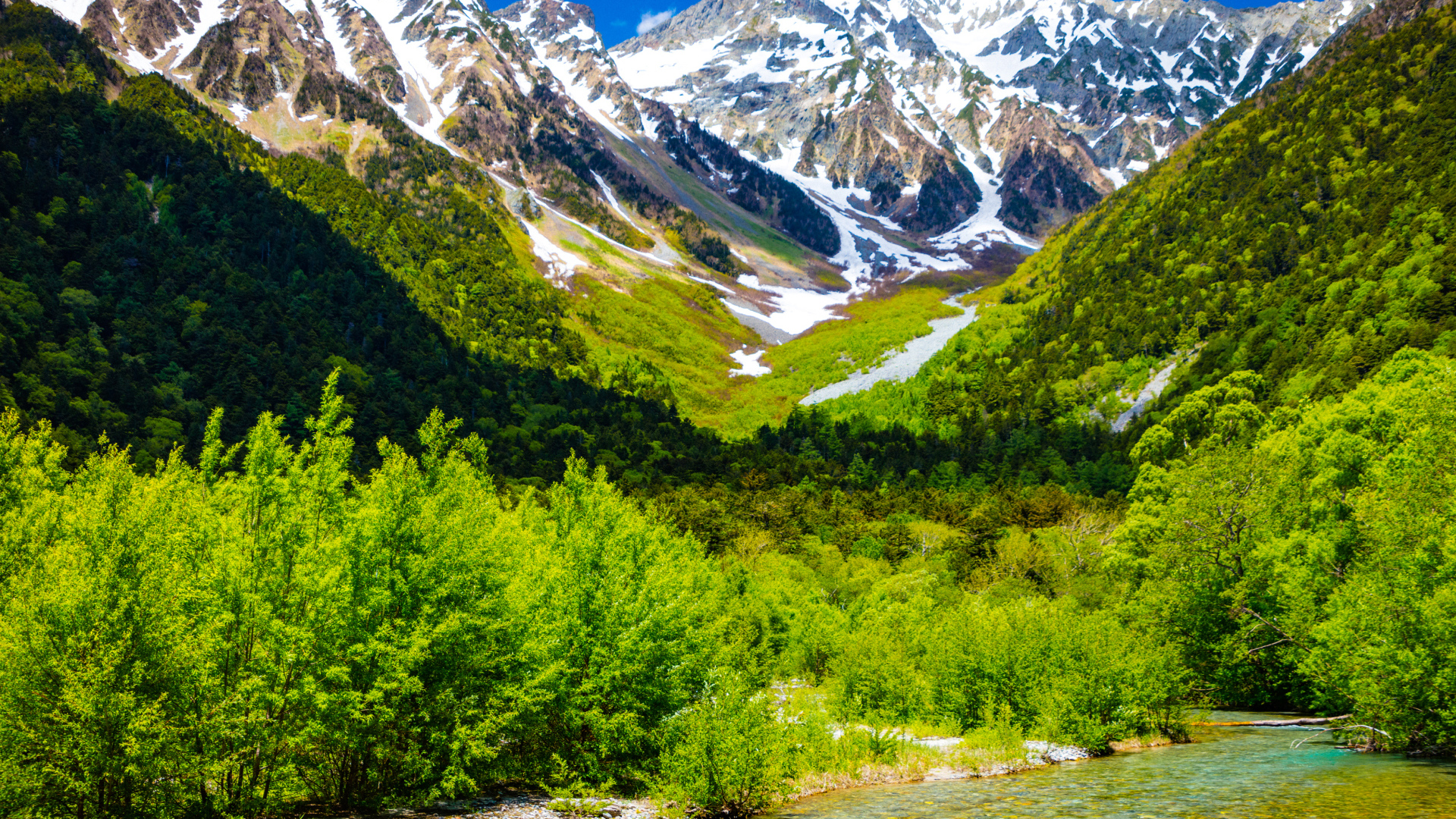 Горная река на фоне заснеженных гор с зеленой растительностью