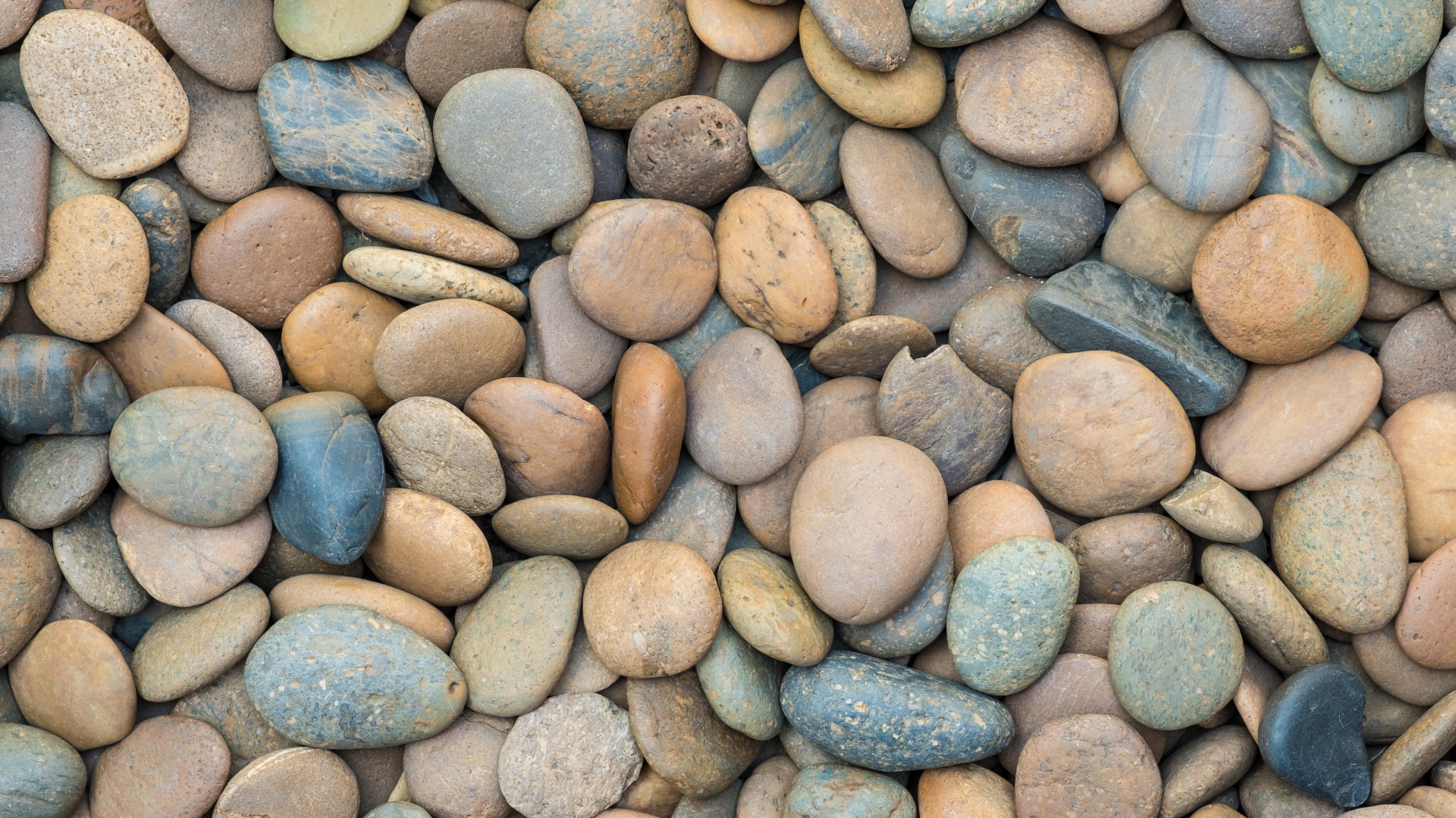 Разноцветные морские камни крупным планом