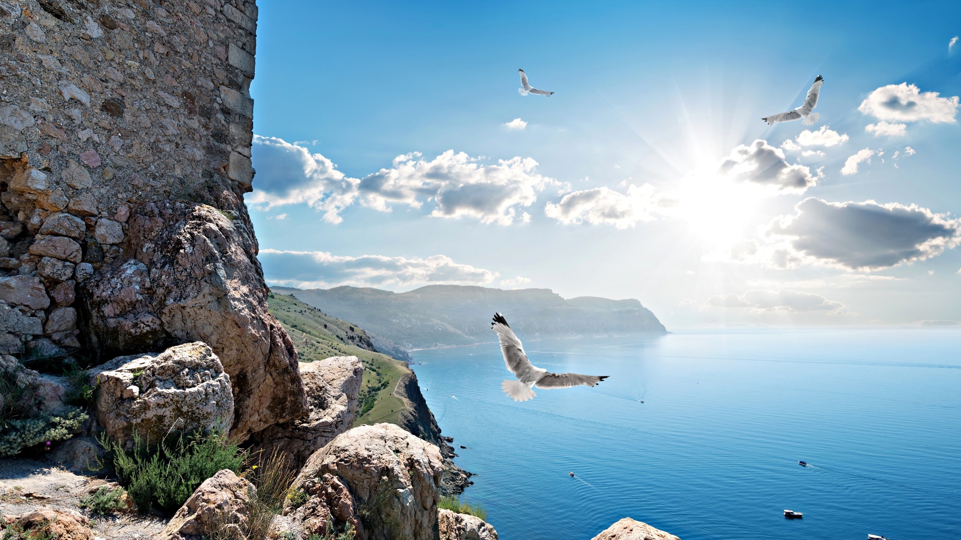 Чайки летают у скалы в лучах солнца под красивым голубым небом