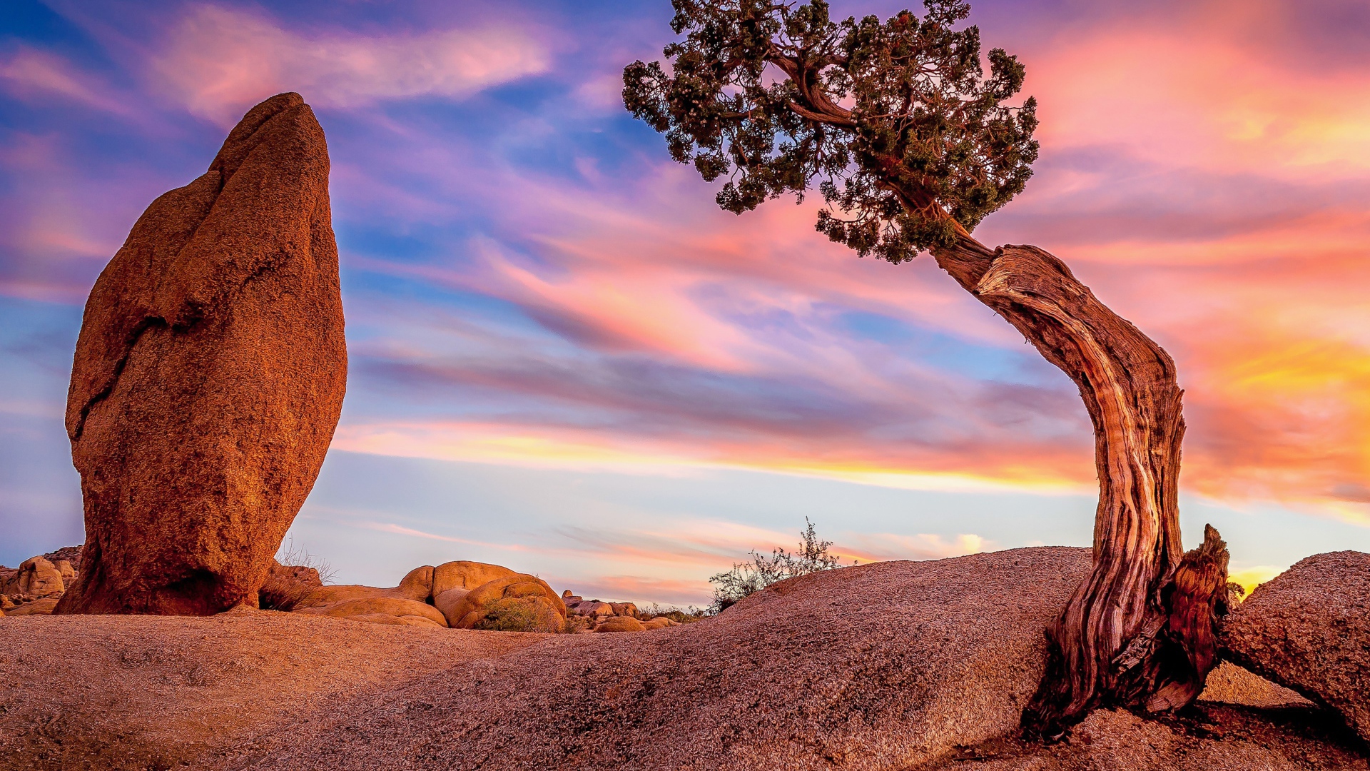 Природа национального парка Джошуа-Три, Калифорния. США