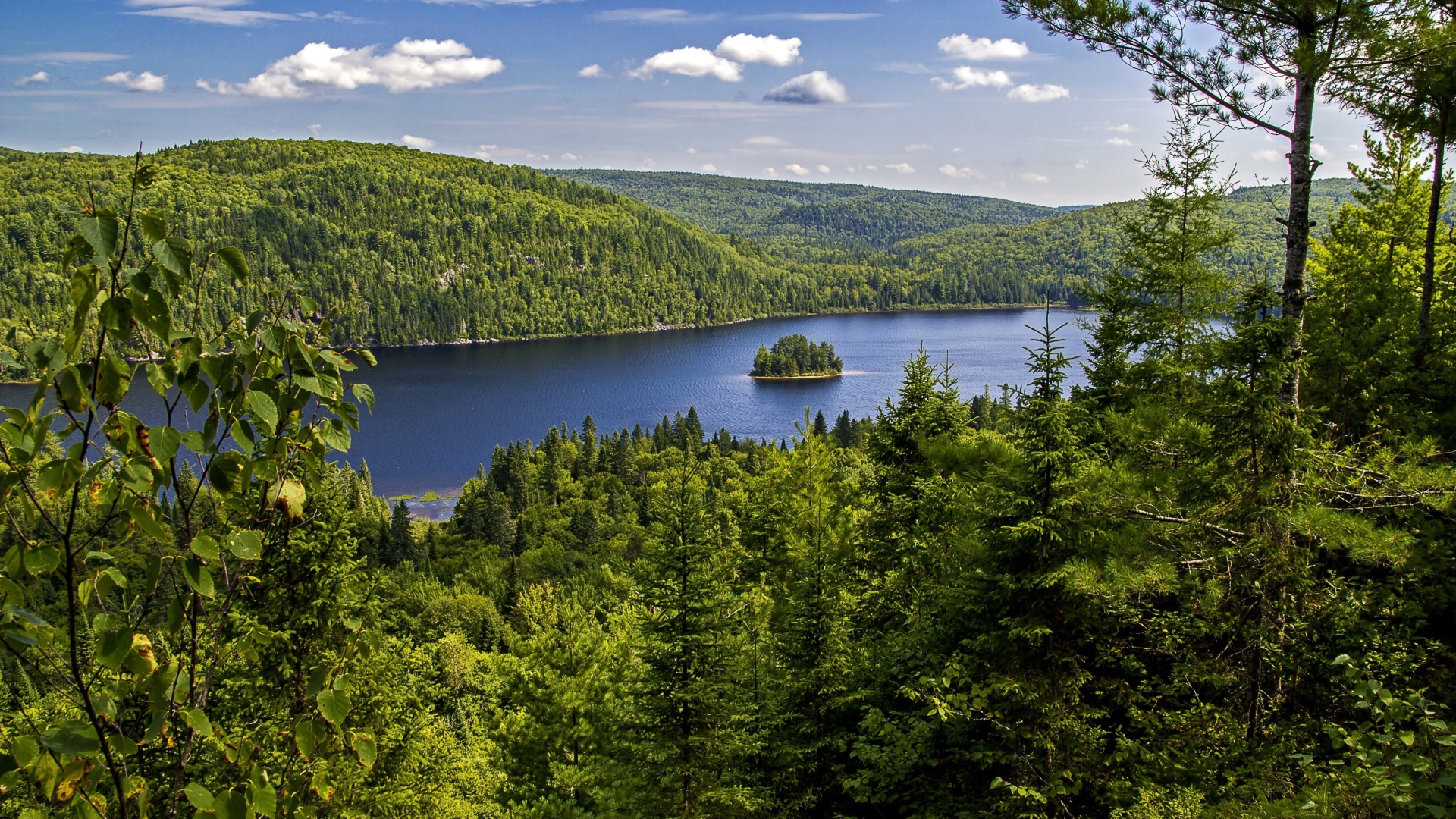 Вид на реку и лес под красивым голубым небом, национальный парк Ла-Мориси. Канада