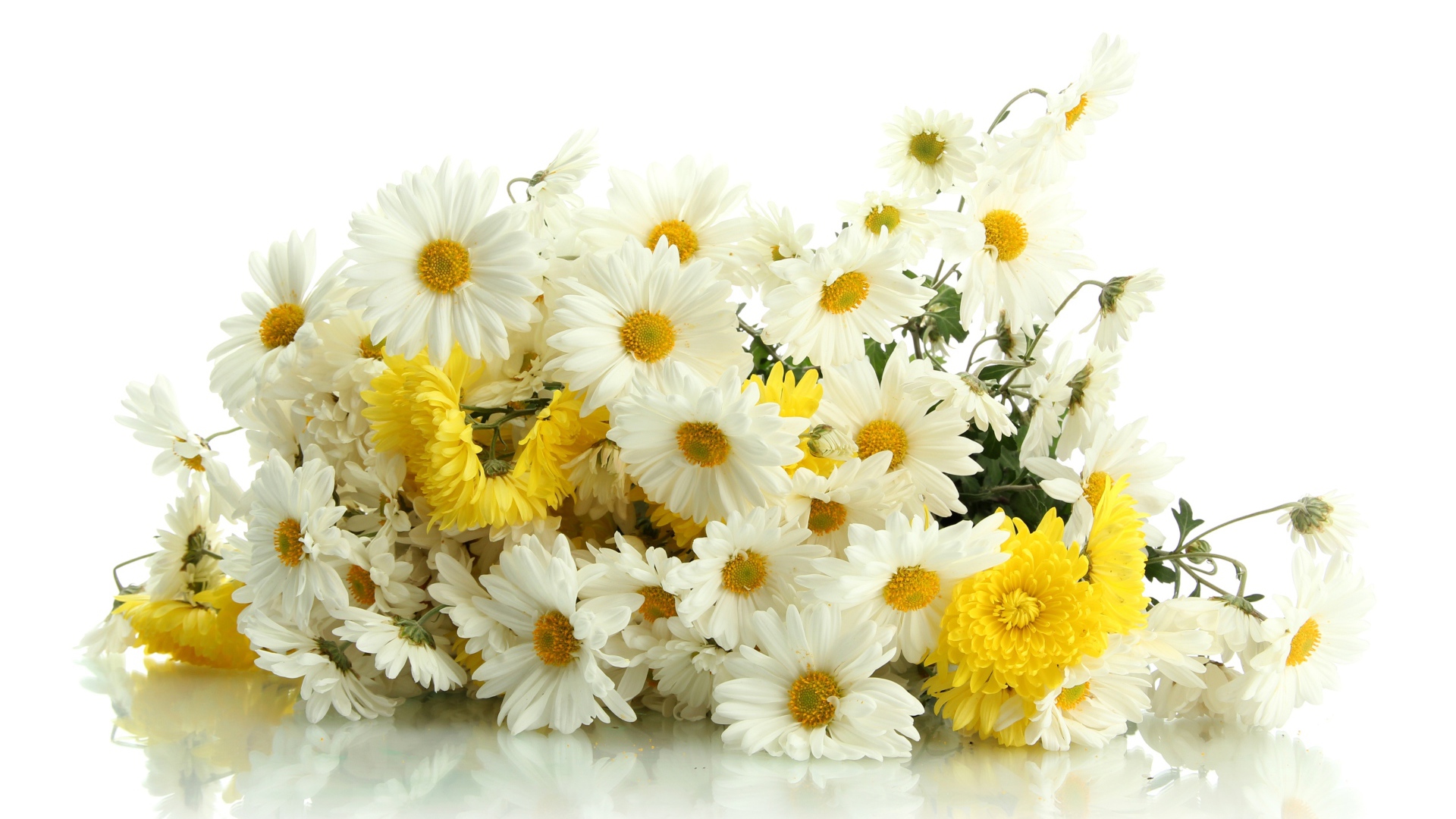 Красивый букет желтых и белых хризантем на белом фоне