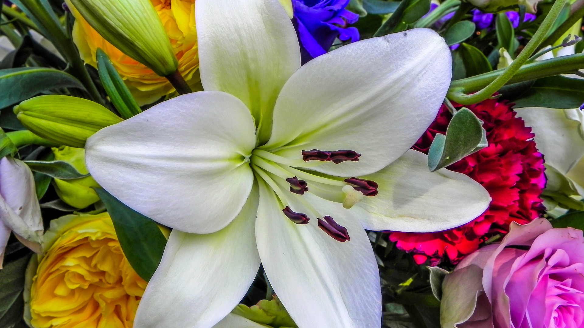 Красивая крупная белая лилия в букете крупным планом 