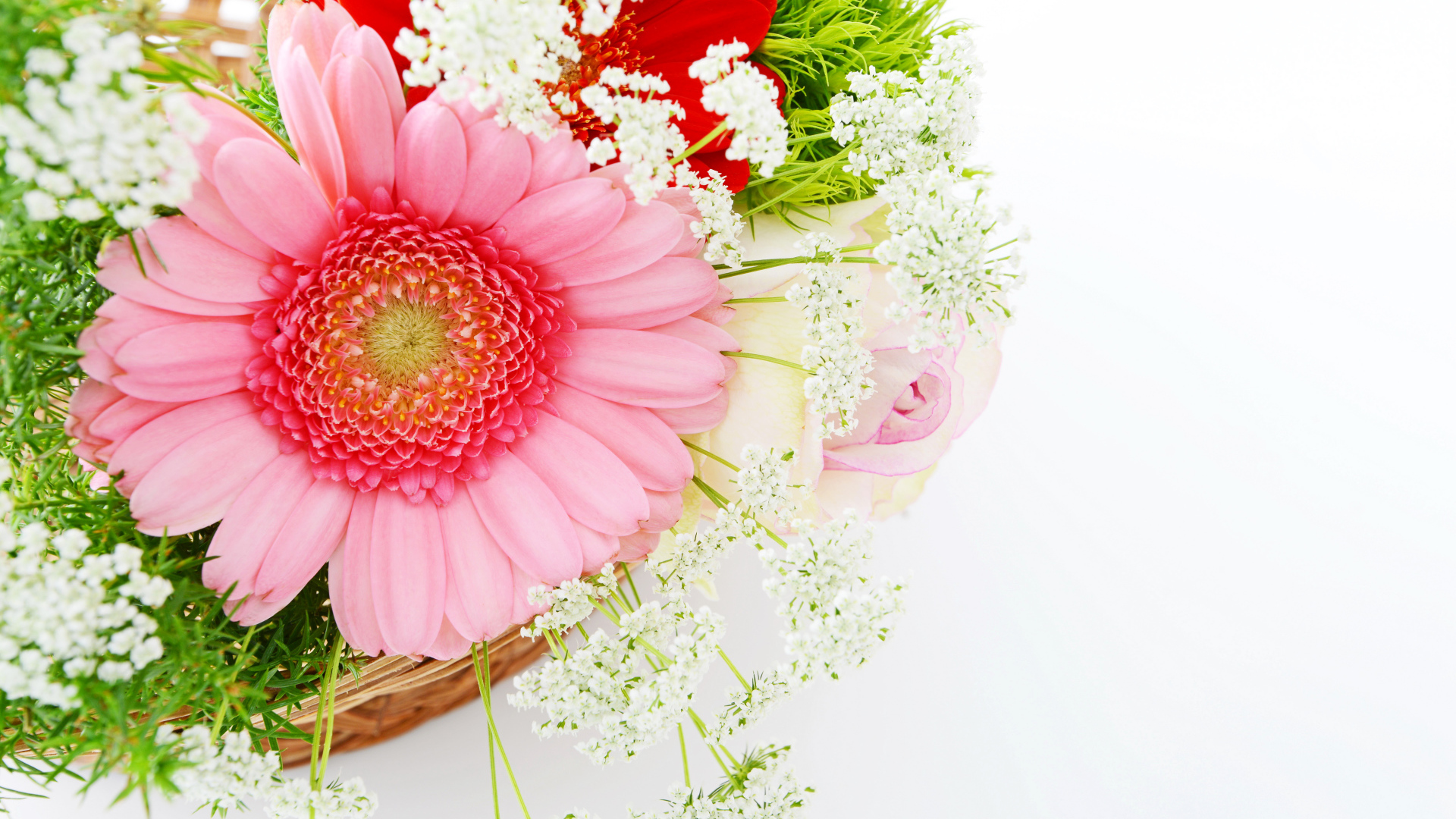 Красивый нежный букет с цветами герберы на белом фоне