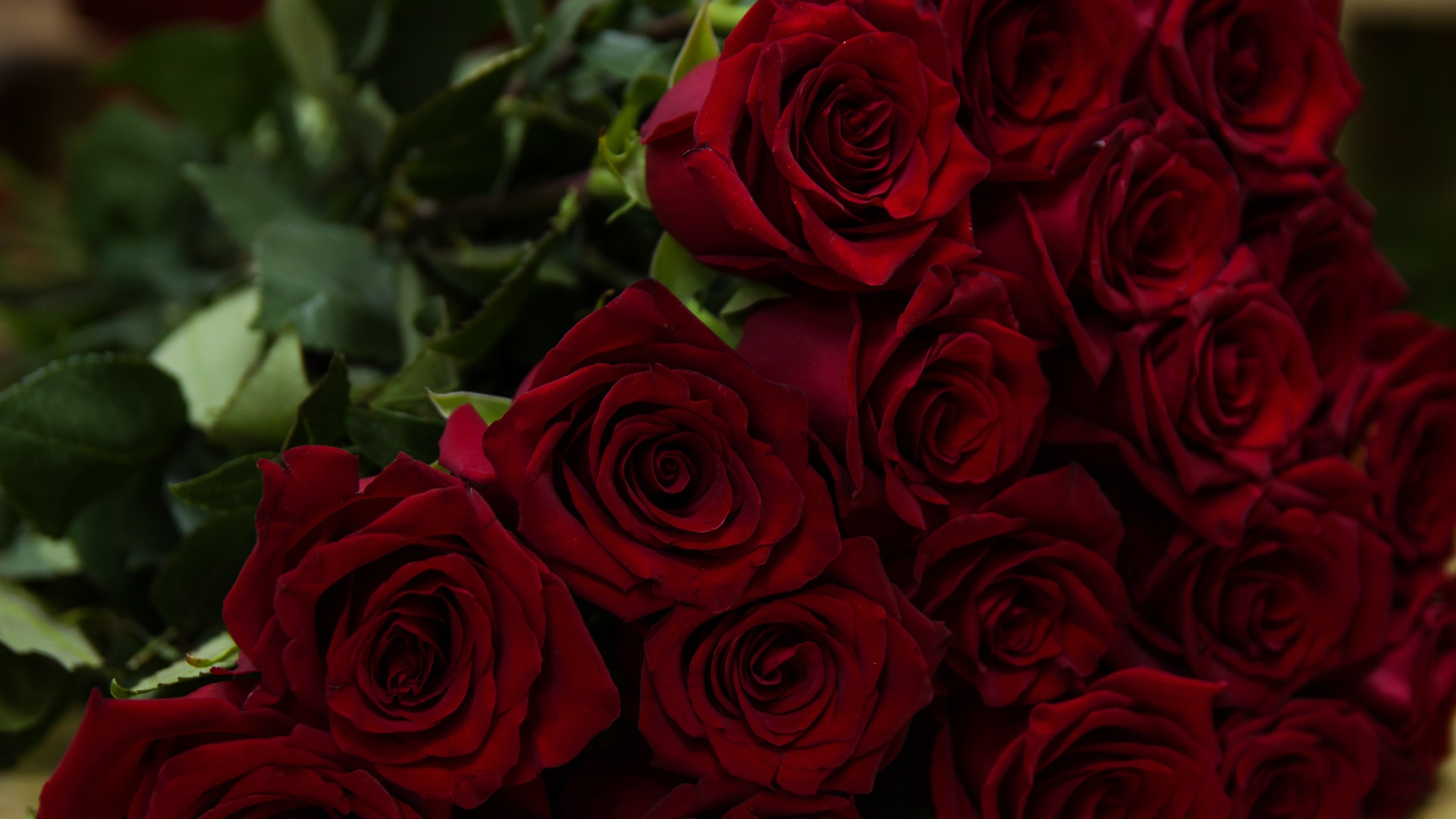 Большой букет красивых красных английский роз