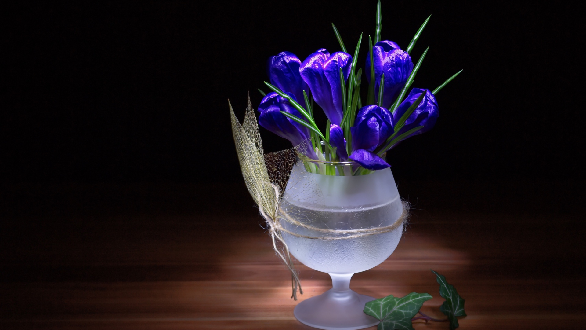 Синие крокусы в стеклянном бокале на черном фоне