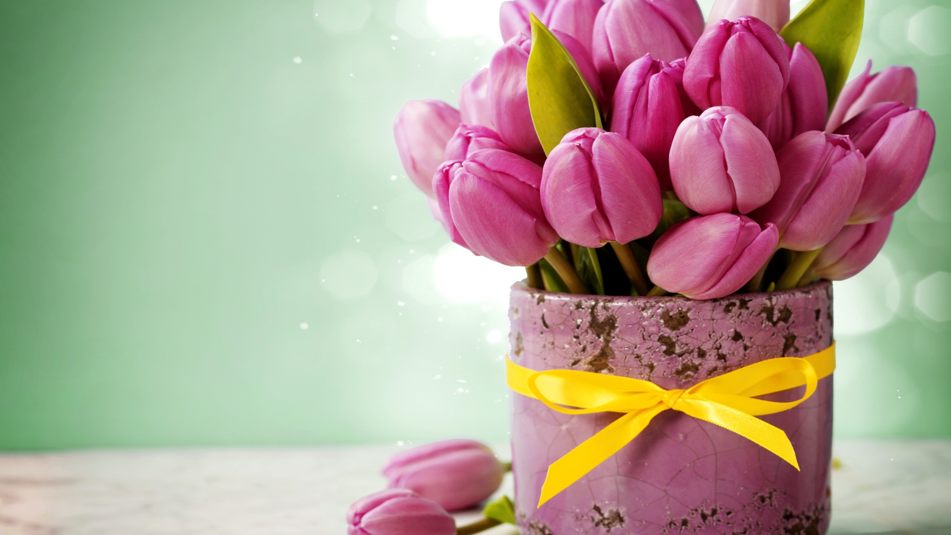Bouquet of pink tulips in a pot with an yellow bow