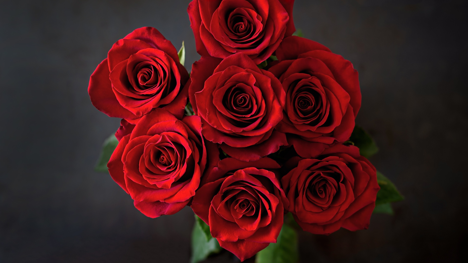 Букет красных роз на сером фоне вид сверху