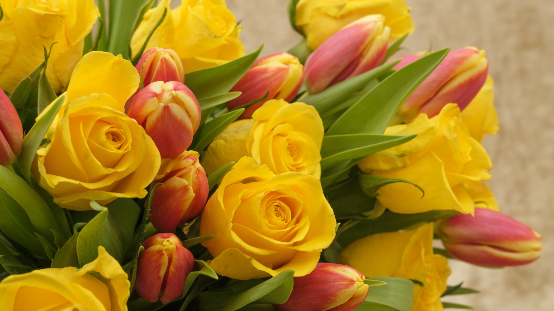 Букет желтых  роз с тюльпанами