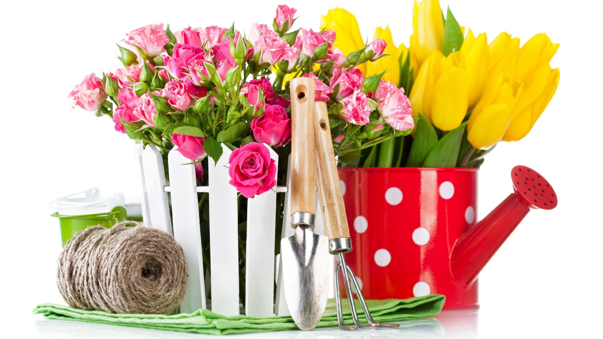 Цветы розовой розы и тюльпаны на белом фоне с садовыми инструментами