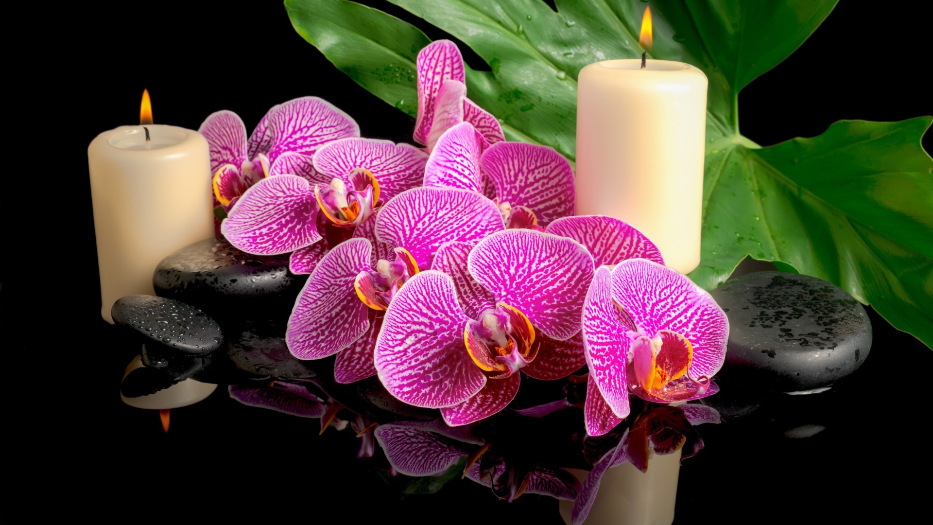 Розовые орхидеи с черными камнями и зажженными свечами