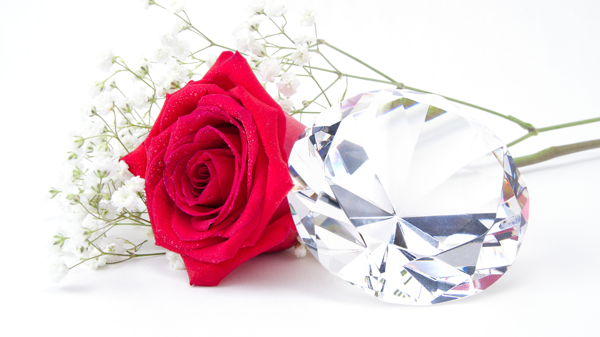 Красная роза с большим бриллиантом на белом фоне