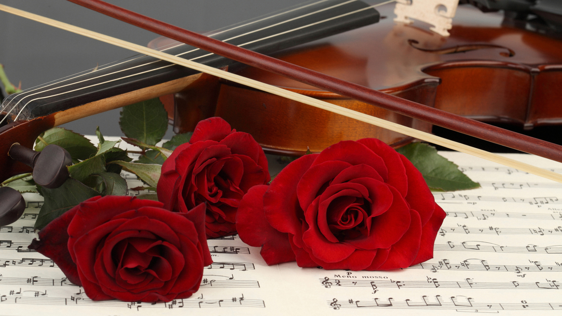 Три красные розы лежат на нотной тетради со скрипкой