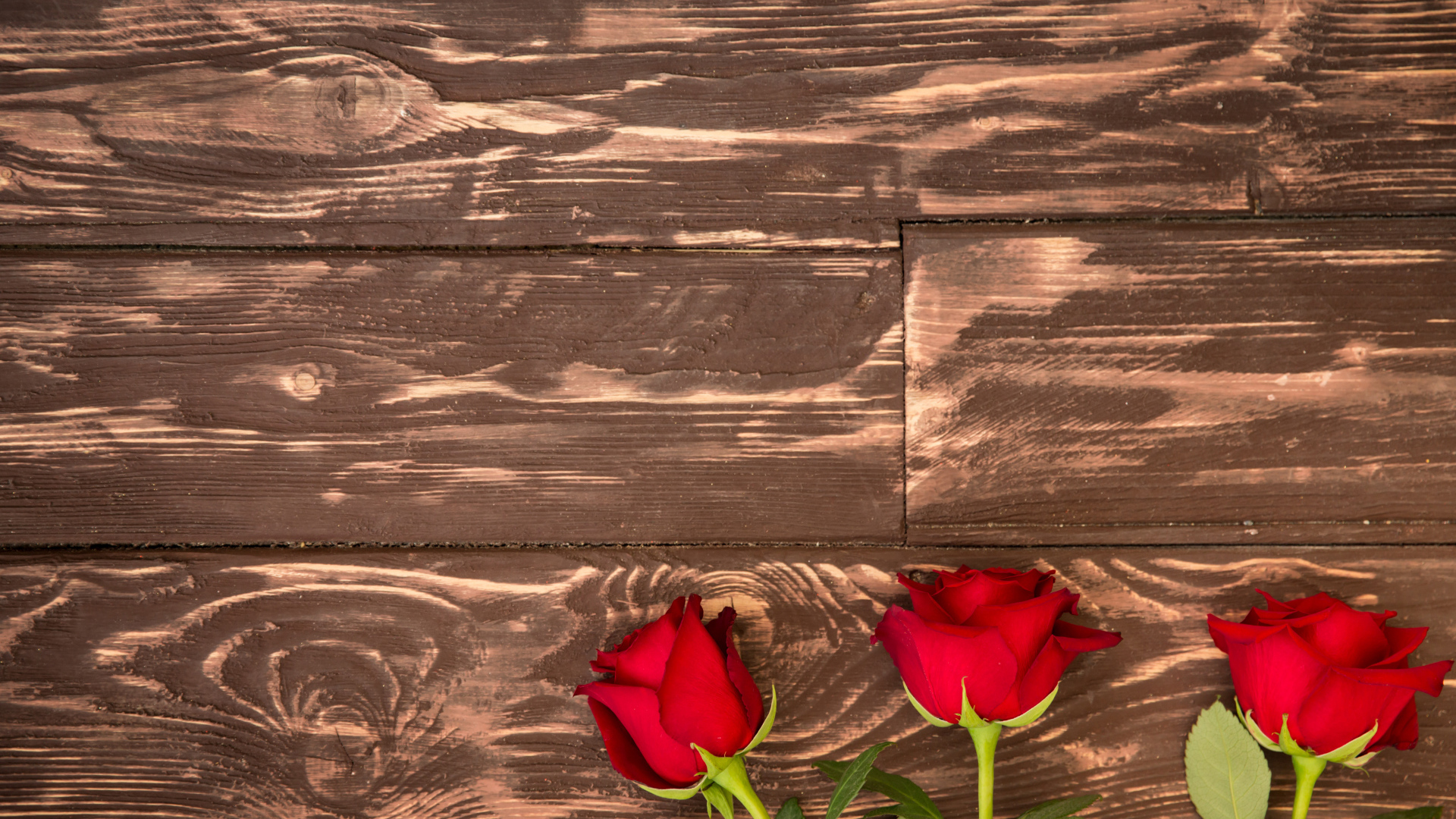 Три красные розы на деревянном фоне