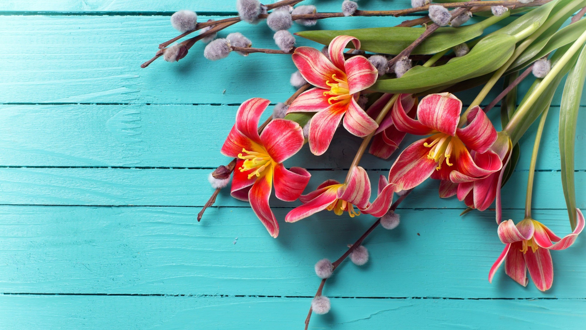 Тюльпаны с веточками вербы на голубом фоне