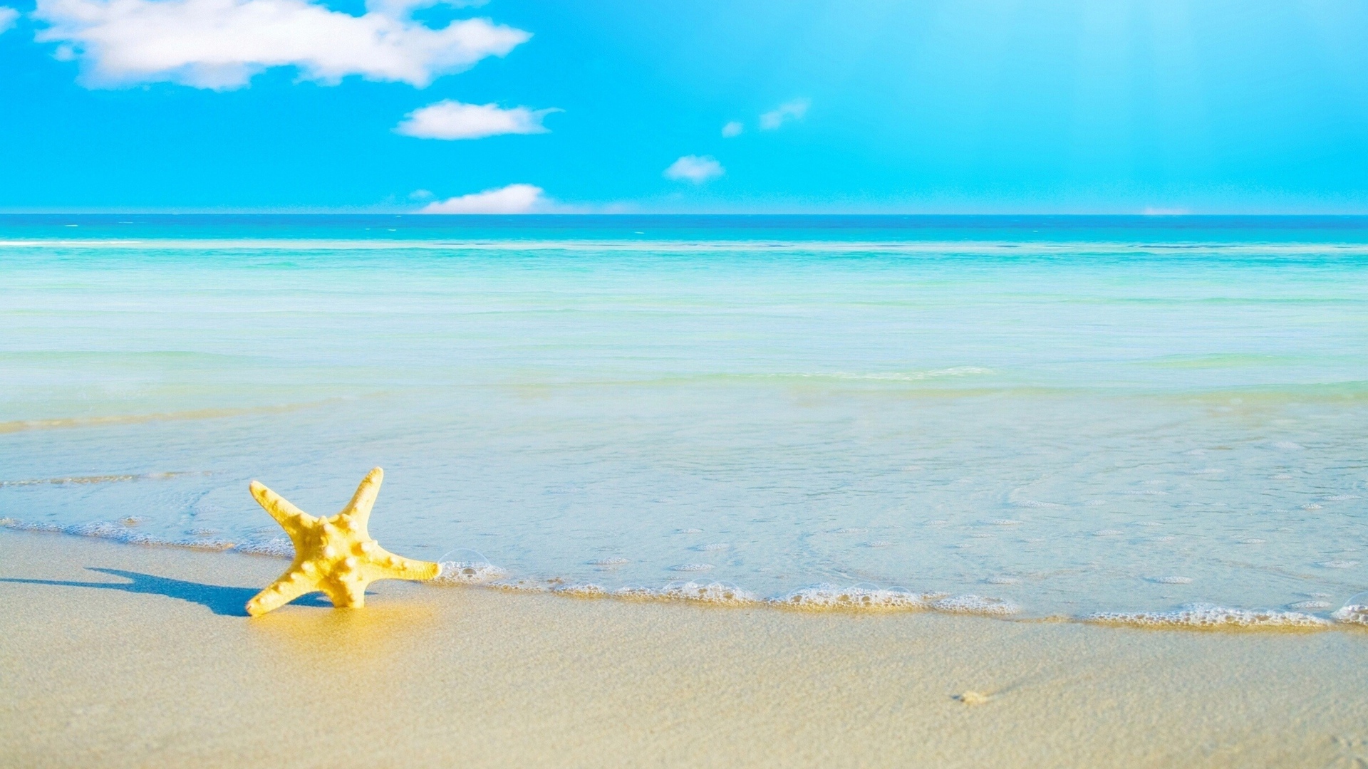 Морская звезда на белом песке у моря под голубым небом