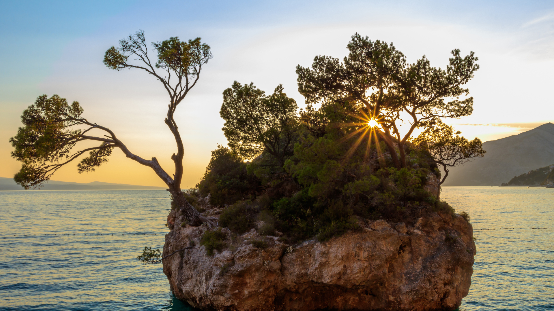 Скала с зелеными деревьями в воде на закате солнца