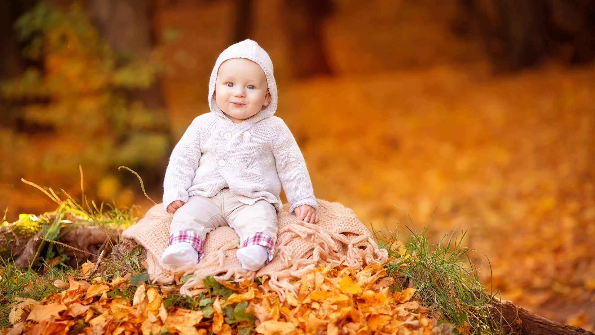 Маленький ребенок сидит на листве осенью 
