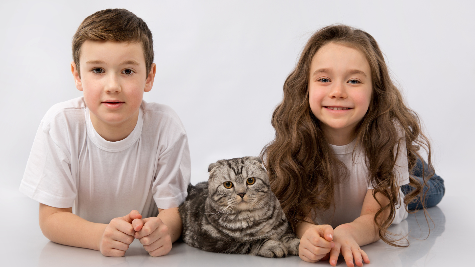 Мальчик и девочка с шотландским котом на сером фоне